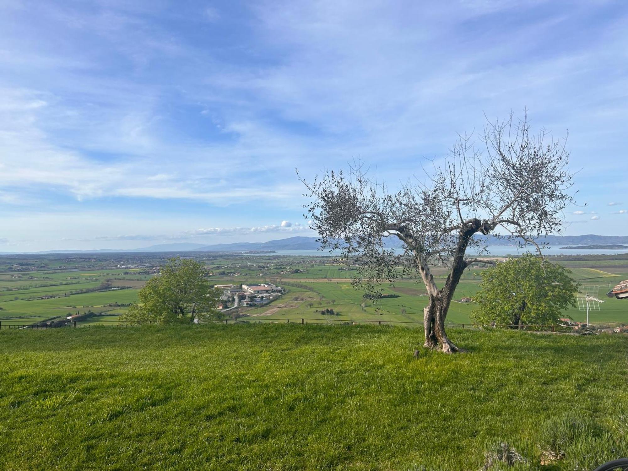 Boutique Hotel Masolino Panicale Bagian luar foto